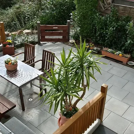 Michels Nest Stromberg (Hunsrueck)
